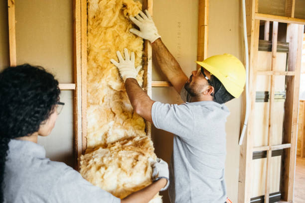 Reliable Nowthen, MN Insulation Solutions