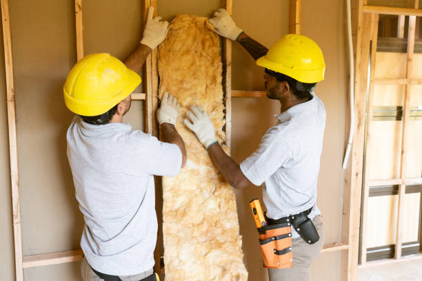 Best Basement Insulation  in Nowthen, MN