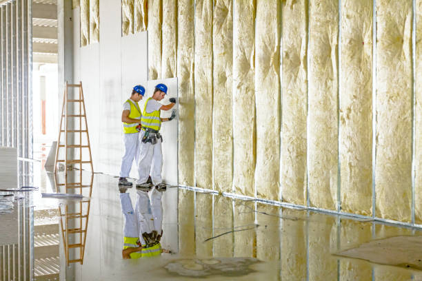 Best Soundproof Insulation  in Nowthen, MN